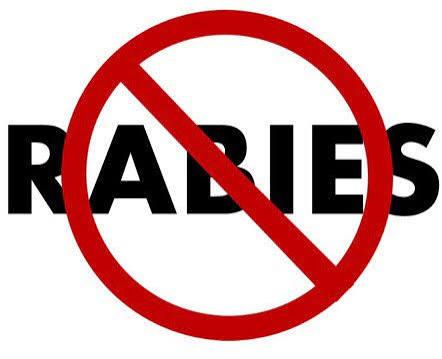 public notice