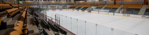 Quartermain Arena Interior Picture