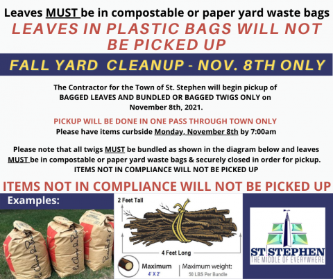 fall clean up