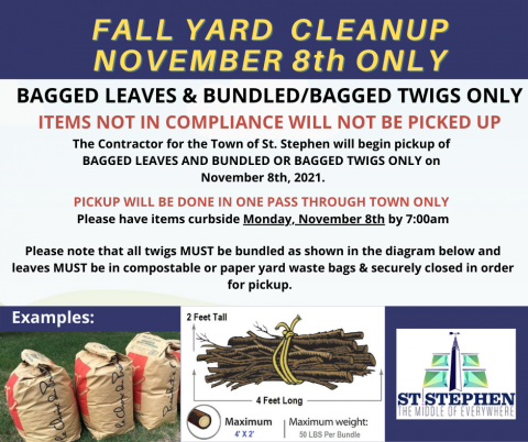 fall clean up