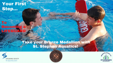 Bronze Medallion