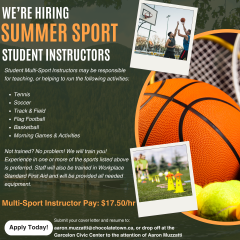 Summer Sport Instructor Ad - 2026