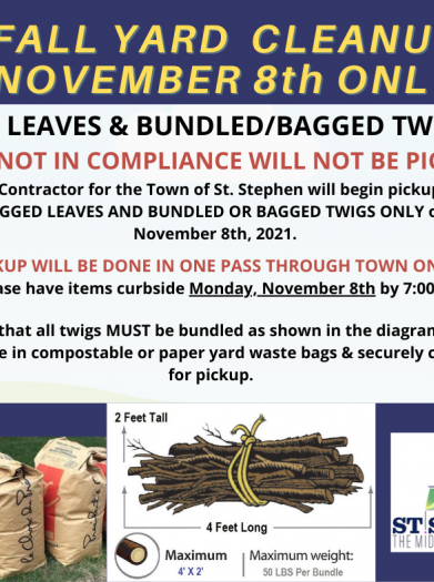 fall clean up